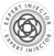 expert injector logo